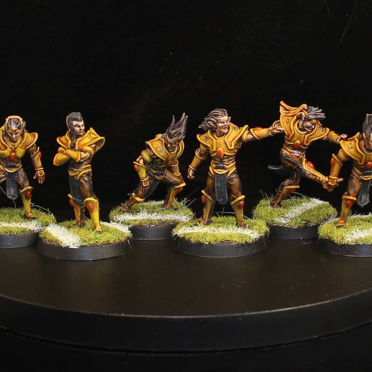Bloodbowl Yellow Elven Union