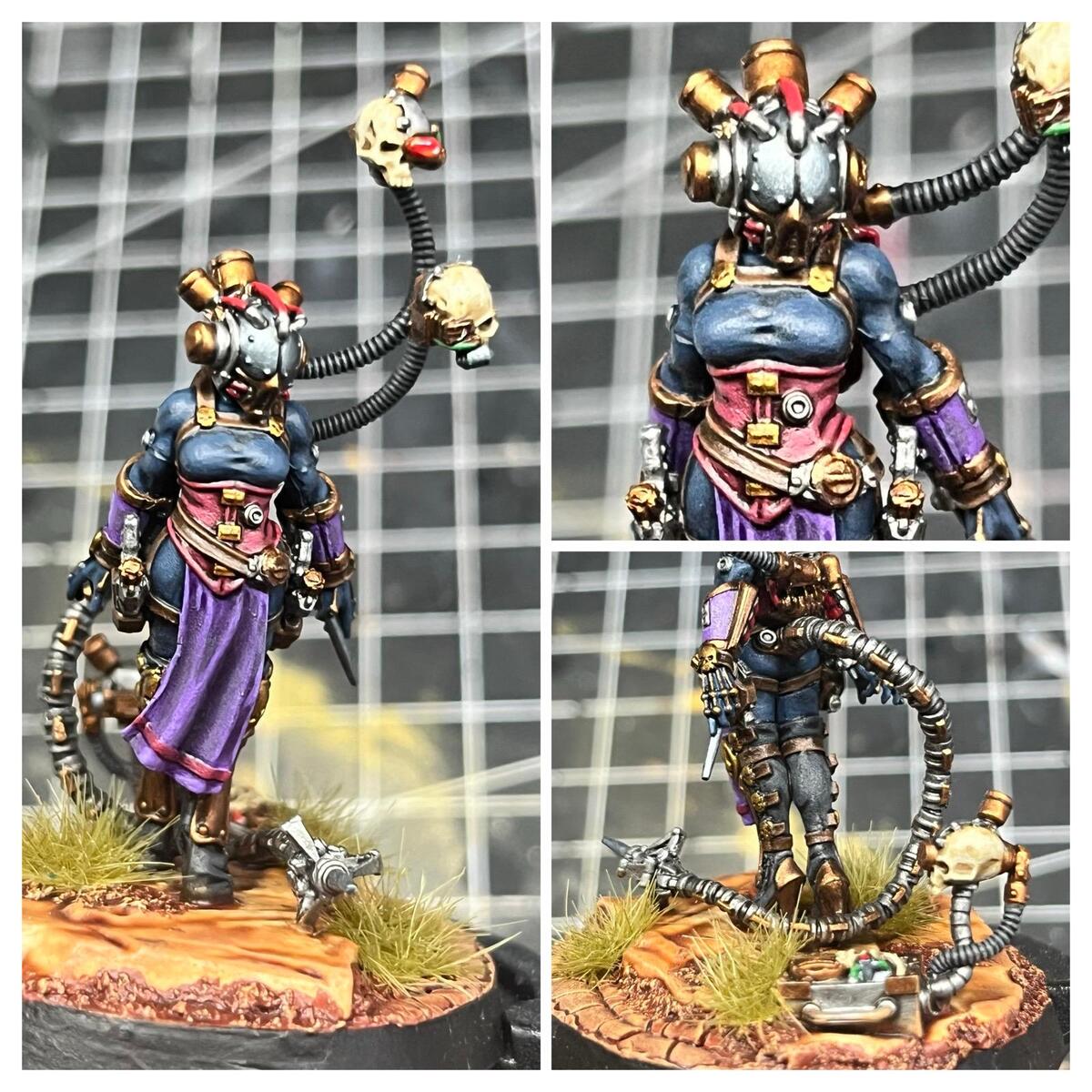 Clade Vanus Infocyte Assassin