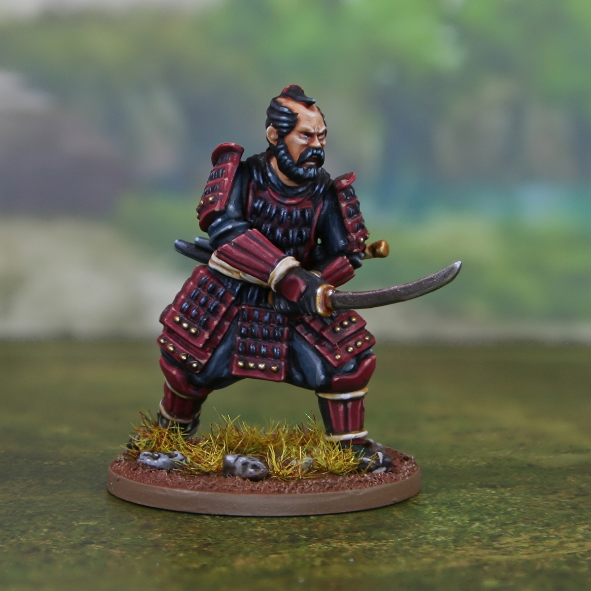 Samurai Warrior: Asai Clan