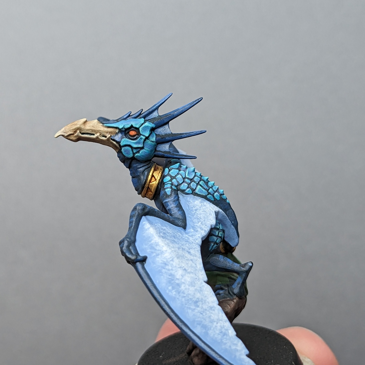 Skinks scales