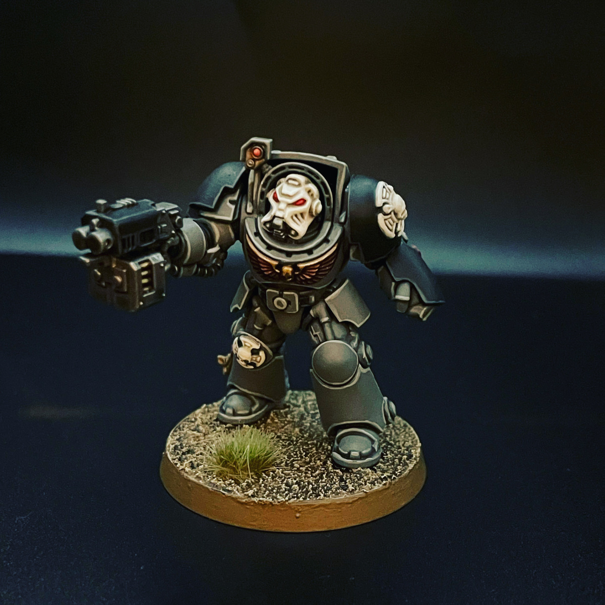 Carcharodon Terminator