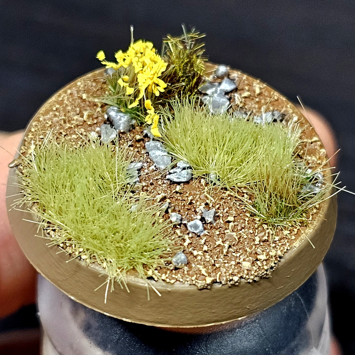 Rohan Grassy Plains Bases