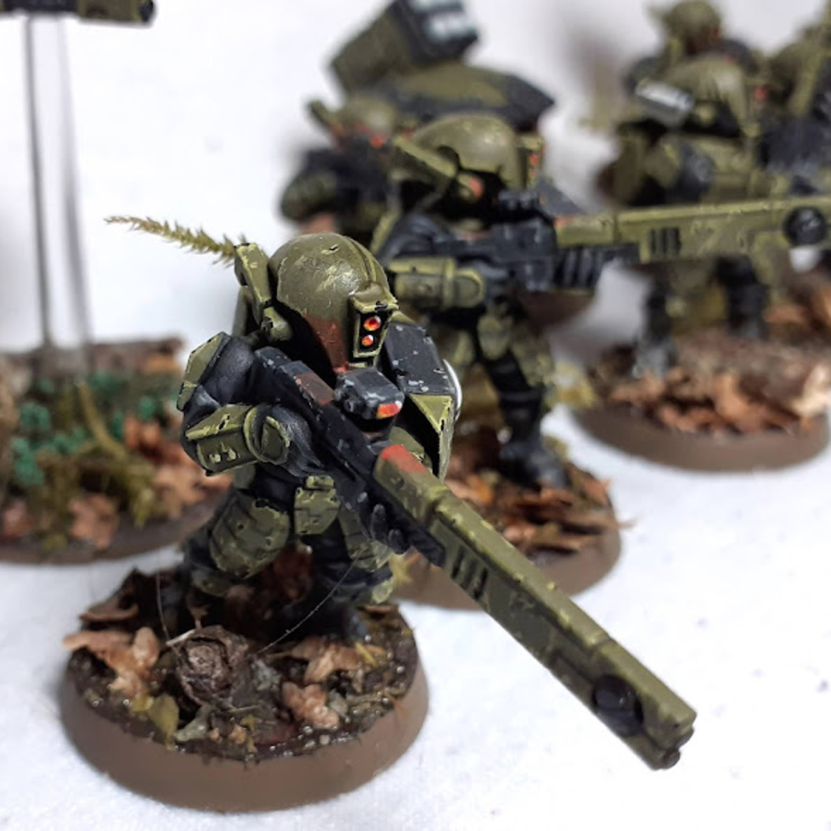 Jungle Tau 